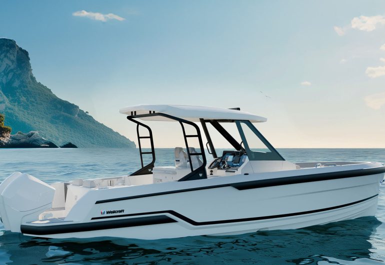 Wellcraft t-top 28